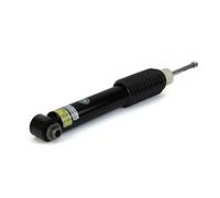 Ammortizzatore ARNOTT EUROPE SK-3936