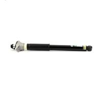 Ammortizzatore ARNOTT EUROPE SKE-3822 per AUDI A6 C7 (4G2, 4GC) 2 2011-2013