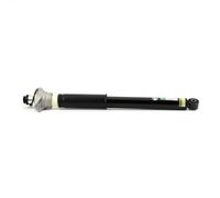 Ammortizzatore ARNOTT EUROPE SKE-3822 per AUDI A6 C7 (4G2, 4GC) 2 2011-2018