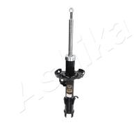 Ashika Ashika Ma-00340