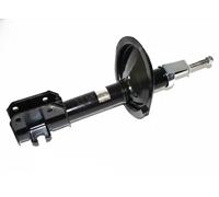 Ammortizzatore Assale anteriore Dx Occhiello inferiore FT11006/G FAST per FIAT
