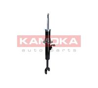 Ammortizzatore Assale anteriore Dx per BMW 5