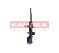Ammortizzatore Assale anteriore Dx per BMW X5