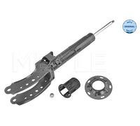 Ammortizzatore Assale anteriore Dx per VW TOUAREG