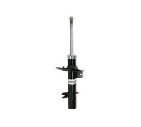 Ammortizzatore Assale anteriore Dx Piastra inferiore AGP141 Magnum Technology