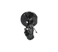 Ammortizzatore Assale anteriore Dx Spina inferiore SSA-9030 KAVO PARTS