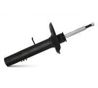 Ammortizzatore Assale anteriore Dx Spina superiore 450302R DACO Germany per BMW