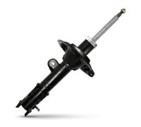 Ammortizzatore Assale anteriore Dx Spina superiore 451311R DACO Germany