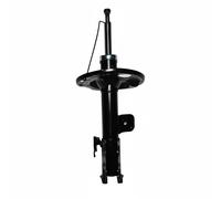 JP GROUP 4842101080 Ammortizzatore