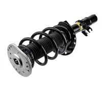 Ammortizzatore Assale anteriore Dx Spina superiore A-LR-012 NTY per LAND ROVER