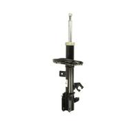 Ammortizzatore Assale anteriore Dx Spina superiore AG1095MT Magnum Technology