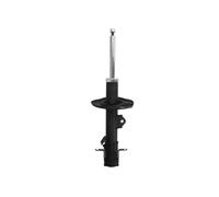 Ammortizzatore Assale anteriore Dx Spina superiore AG1101MT Magnum Technology