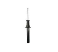 Ammortizzatore Assale anteriore Dx Spina superiore AGB109 Magnum Technology