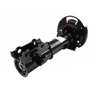 FAST FT11176 Ammortizzatore