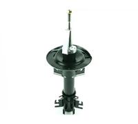 Ammortizzatore Fast FT11317 per Renault Vauxhall Nissan Opel