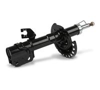 Ammortizzatore Assale anteriore Dx Spina superiore J4311007 HERTH+BUSS JAKOPARTS