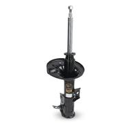 ASHIKA MA-50003 Ammortizzatore