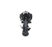 Ammortizzatore Assale anteriore Dx Spina superiore SSA-11389 KAVO PARTS per FORD
