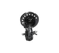 Ammortizzatore Assale anteriore Dx Spina superiore SSA-6528 KAVO PARTS