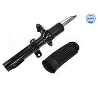 MEYLE Ammortizzatore Asse Ant. per Ford Transit Van Fa _ Fd _ Fb _ FS_ Fz _