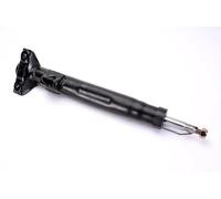 Ammortizzatore Assale anteriore Spina superiore AGM006MT Magnum Technology