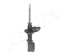 Ashika Ashika Ma-Hy053