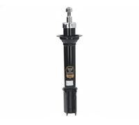 Japko Ammortizzatori MJ00436 Coppia Anteriori per Renault Megane I 1.4