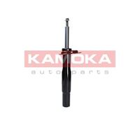 Ammortizzatore Assale anteriore Sx per BMW 5