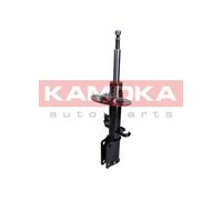 Ammortizzatore Assale anteriore Sx per BMW X5