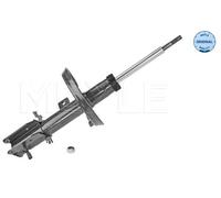 Ammortizzatore Assale anteriore Sx per CITROËN FIAT PEUGEOT EXPERT EXPERT TEPEE