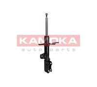 Ammortizzatore Assale anteriore Sx per TOYOTA RAV 4