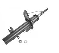 Meyle Ammortizzatore 40-26 623 0024 per Citroën Sinistro