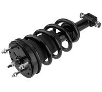 NTY Ammortizzatore a gas A-CH-012 Assale anteriore Sx Spina superiore per Cadillac