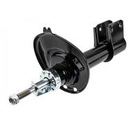 Ammortizzatore Assale anteriore Sx Spina superiore A-CT-061 NTY per CITROËN