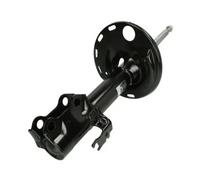 Ammortizzatore Assale anteriore Sx Spina superiore AG2123MT Magnum Technology