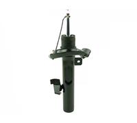 FAST FT11016 Ammortizzatore per FORD