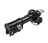 FAST FT11177 Ammortizzatore