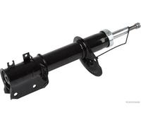 Ammortizzatore Assale anteriore Sx Spina superiore J4300831 HERTH+BUSS JAKOPARTS