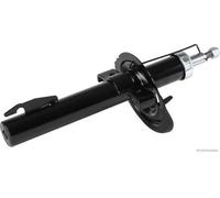 Ammortizzatore Assale anteriore Sx Spina superiore J4300844 HERTH+BUSS JAKOPARTS