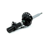 Arnott MR-5089 Ammortizzatore per LAND ROVER