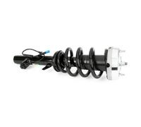 Arnott Ammortizzatore anteriore sinistro SK-3605 spina superiore per BMW X5/X6 (F15/F85/F16/F86)