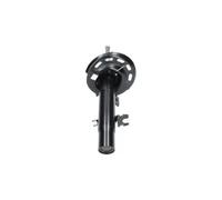 KAVO PARTS SSA-10646 Ammortizzatore