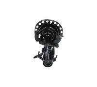 Ammortizzatore Assale anteriore Sx Spina superiore SSA-6520 KAVO PARTS