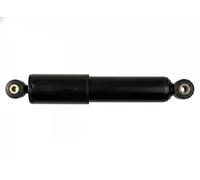 Ammortizzatore Assale posteriore Dx Occhiello superiore FT11059 FAST per FIAT