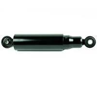 Ammortizzatore Assale posteriore Dx Occhiello superiore FT11265 FAST per FIAT