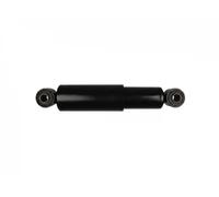 Ammortizzatore Assale posteriore Dx Occhiello superiore FT11286 FAST per FIAT