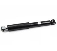 Ammortizzatore Fast FT11315 per Nissan Renault