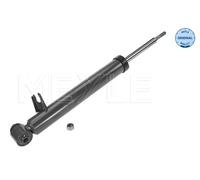 Ammortizzatore Assale posteriore Dx per BMW X5 X6
