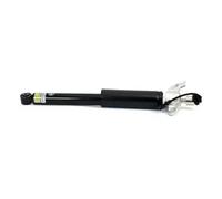 Arnott SK-3357 Ammortizzatore