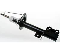 Ammortizzatore Assale posteriore Dx Spina inferiore DSB142G DENCKERMANN